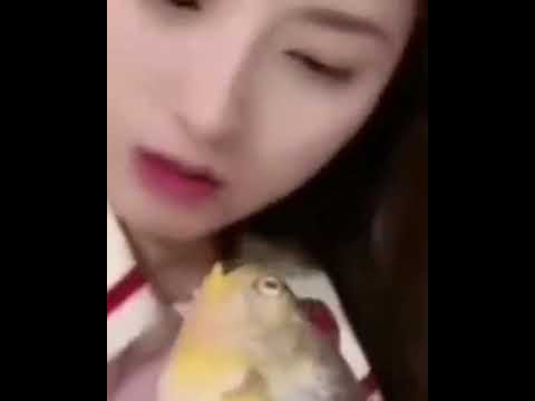 魚にキス