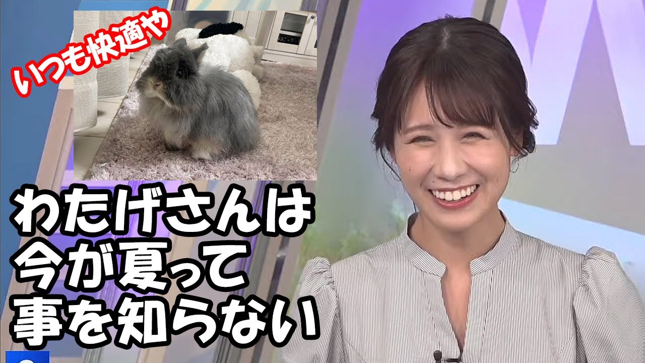 【戸北美月】常にエアコンの効いた部屋に居るのでわたげさんは夏を感じてないと言うお天気お姉さん