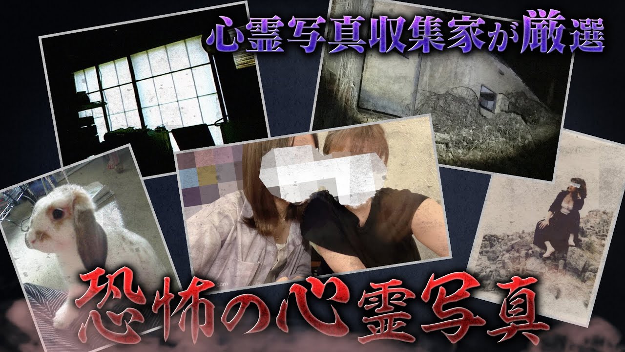 心霊写真収集家が厳選！恐怖の心霊写真 真夏の絶恐映像　日本で一番コワい夜 《スペシャル映像》【公式】
