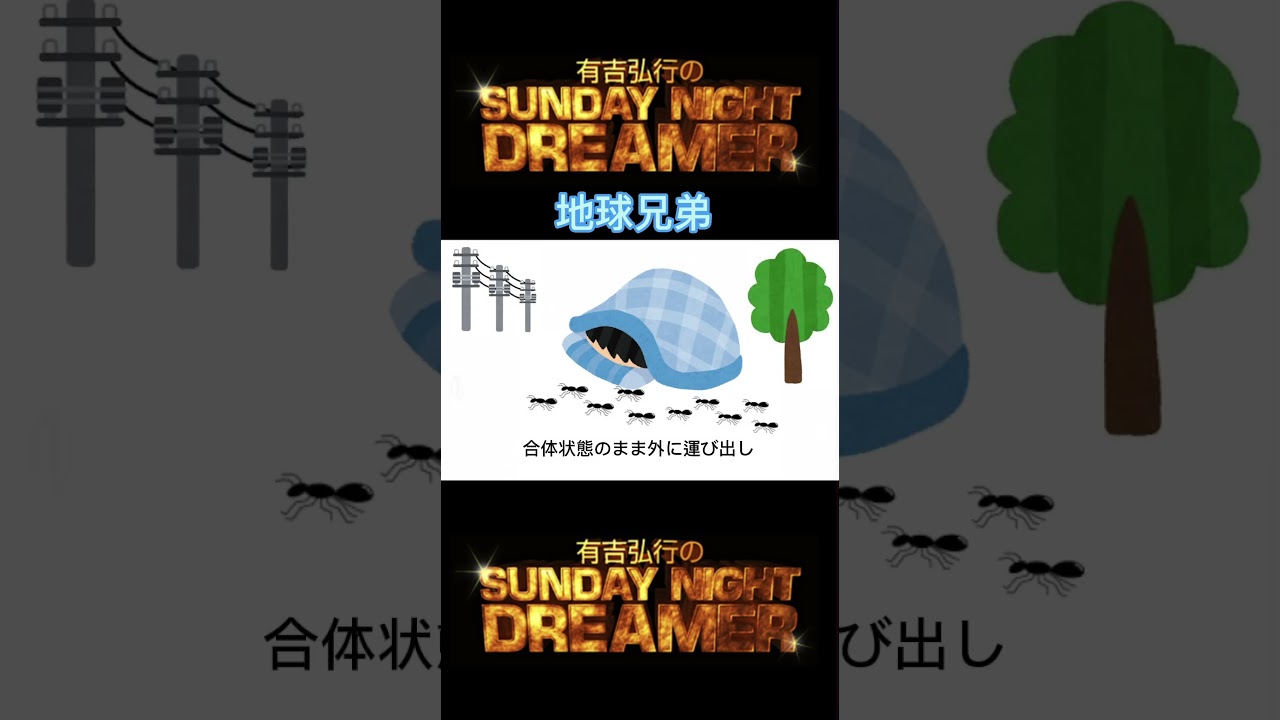 サンドリ 地球兄弟「蟻の大群」 #サンデーナイトドリーマー #切り抜き #有吉 #サンドリ #地球兄弟 #shorts