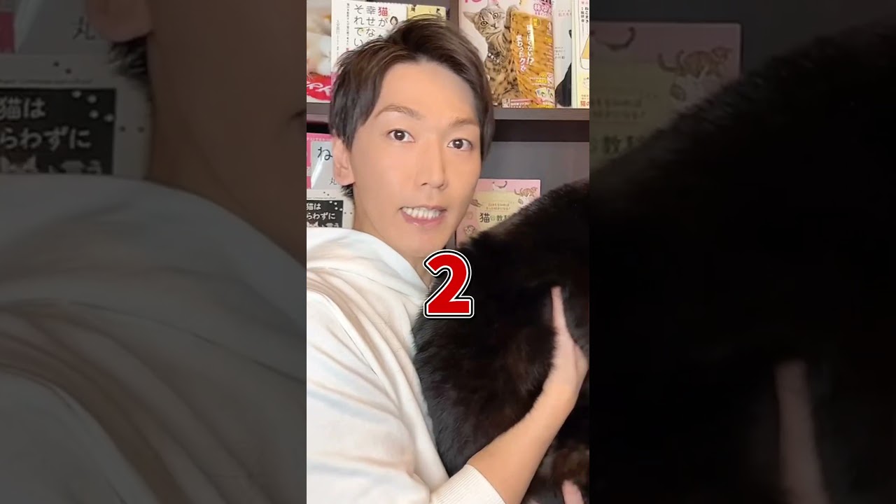 要注意！？知っておきたい猫に危険な虫４選