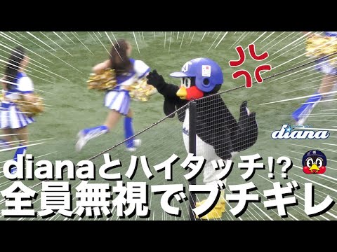 《プロ野球 チアリーダー》横浜DeNAベイスターズ diana ディアーナ  ハイタッチを試みるも全員無視でブチギレるつば九郎  cheerleader  《BraveTV》