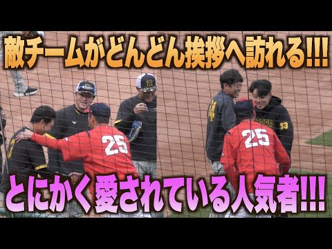 圧倒的愛されキャラ！新井貴浩監督の元へ続々と挨拶に訪れる阪神タイガースの面々！！#広島#カープ#阪神#タイガース