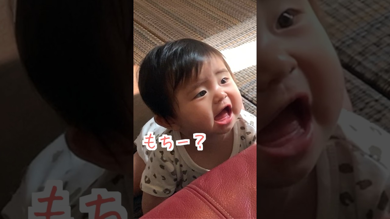 【まさかw】はじめて柴犬が赤ちゃんに呼びかけられた反応！　#shorts