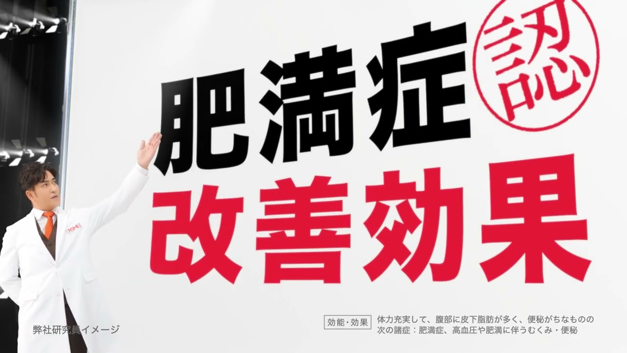 ナイシトールＺ　「医薬品」篇Ｄ（N1T-0091）