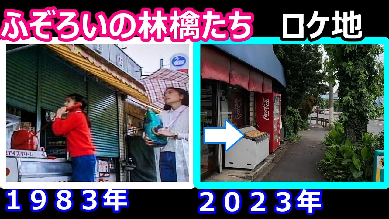 【１９８３年ドラマ】【石原真理子】【手塚里美】【中井貴一】【柳沢慎吾】【時任三郎】【中島晶子】