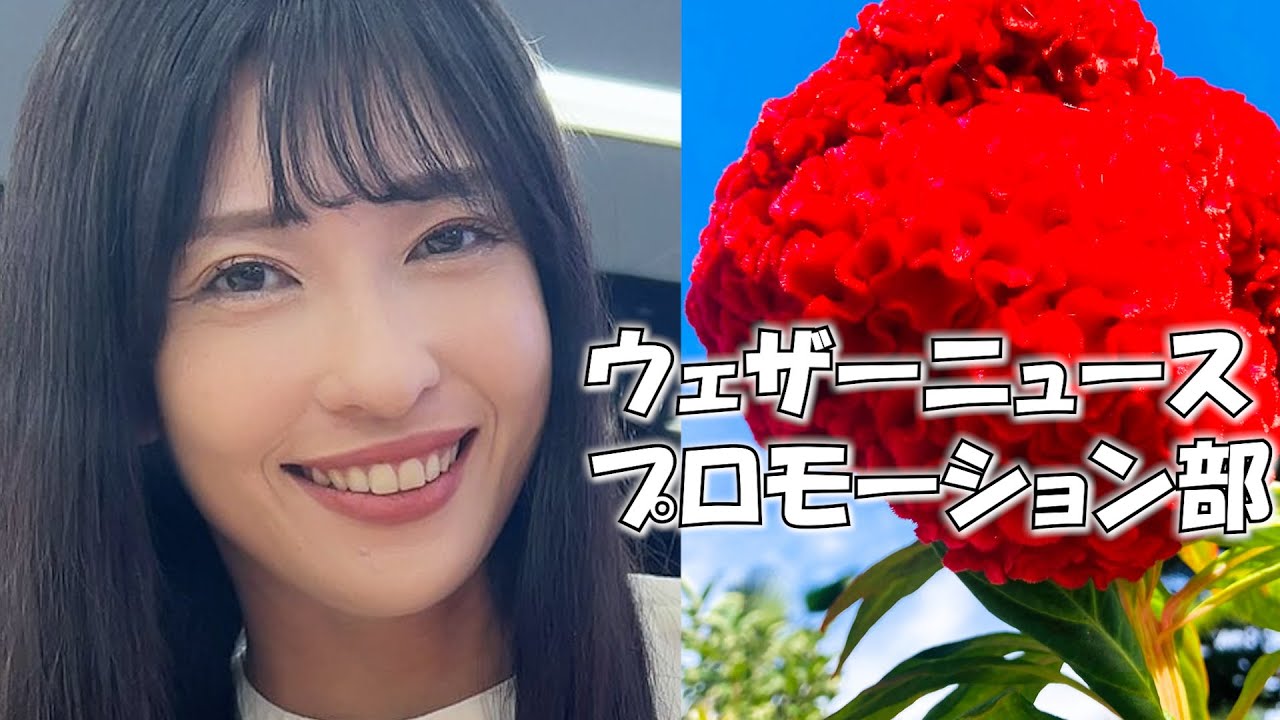 ウェザーニュースプロモーション部【山岸愛梨×小林李衣奈×檜山沙耶×高山奈々×魚住茉由×小川千奈×松雪彩花】 [ウェザーニュースLIVE]