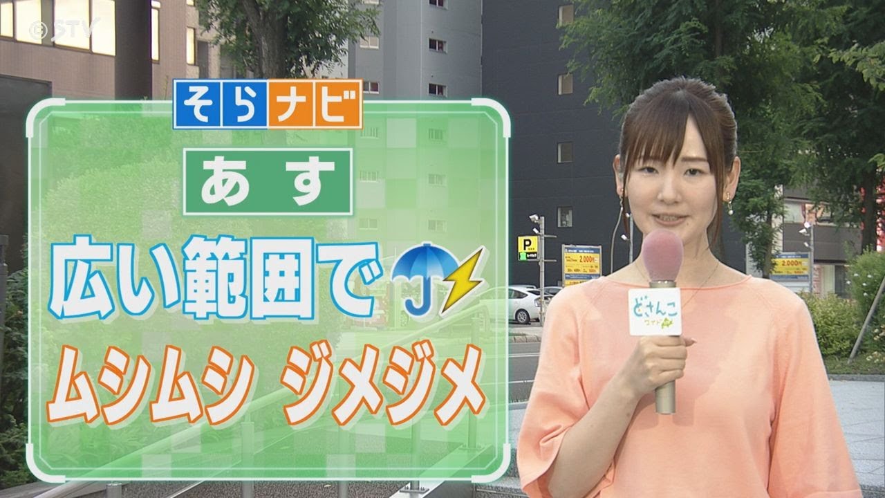 【そらナビ】あすの北海道　広い範囲で雷雨　ムシムシジメジメ