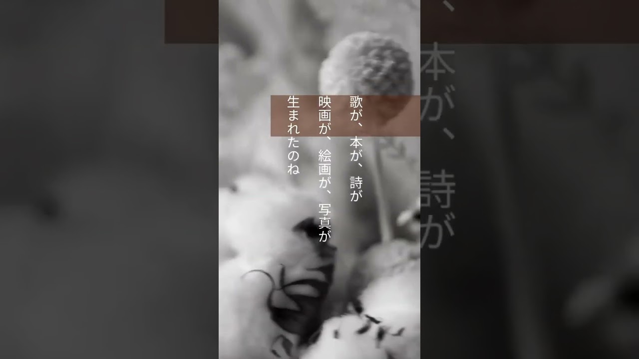 『コトバの処方箋』　#shorts