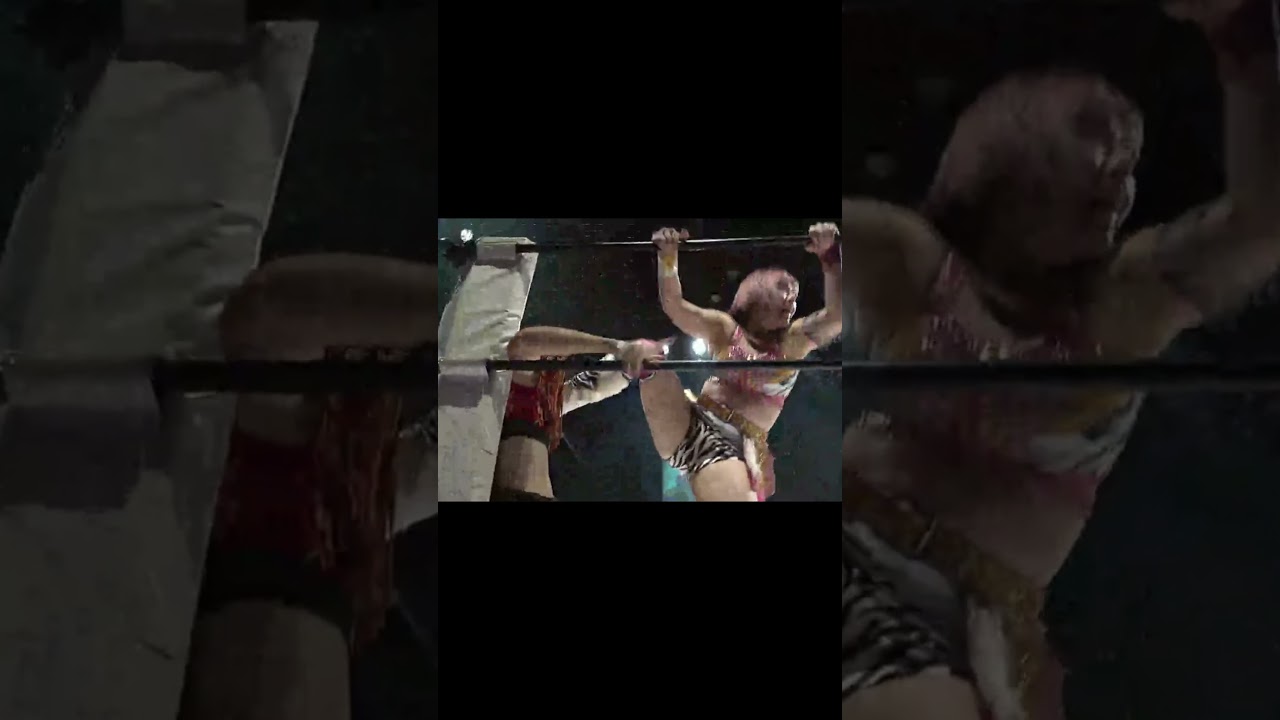 桃野美桜 ハイスピード・パフォーマンス