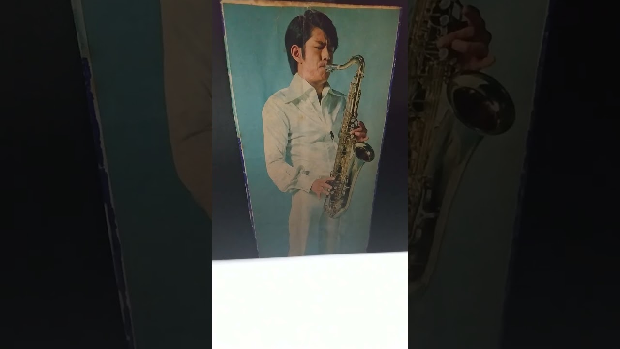 野村真樹   下町っ娘