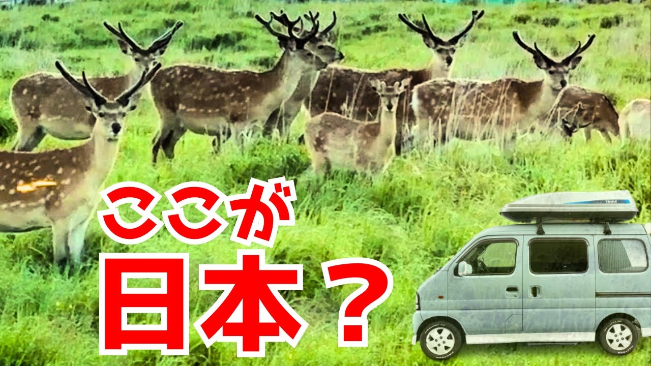 超不思議な光景。まるでサバンナ！北海道の湖で無料の秘湯を楽しむ車中泊