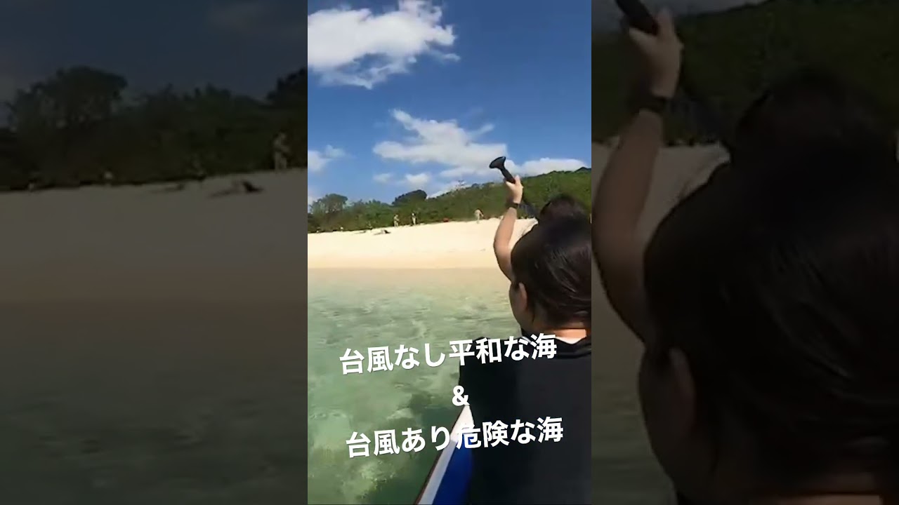 台風なし平和な海&台風あり危険な海