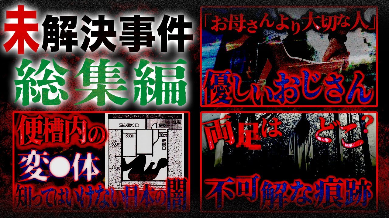 【未解決】「やさしいおじさん」の正体…便槽内変●の真相…バラバラで見つかったOLの最後の日記【日スぺ】【総集編】
