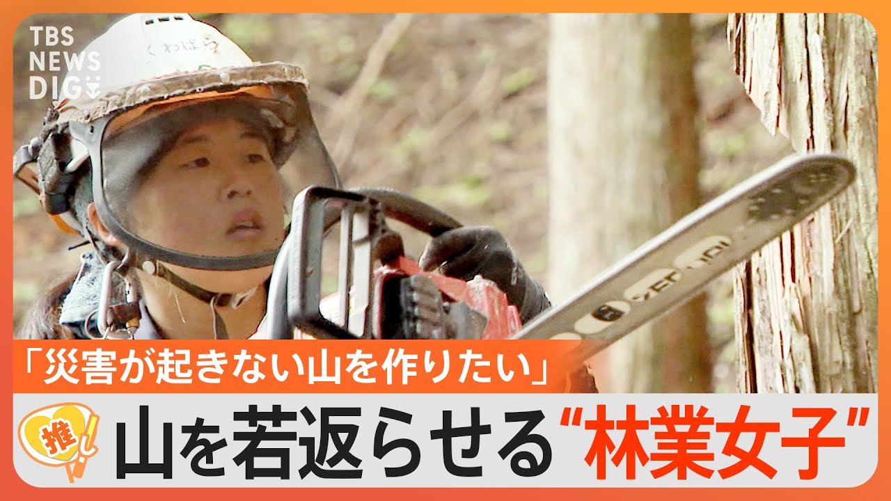 災害が起きない山を作りたい！チェーンソーを扱い山で働く林業女子の仕事とは【ゲキ推しさん】｜TBS NEWS DIG