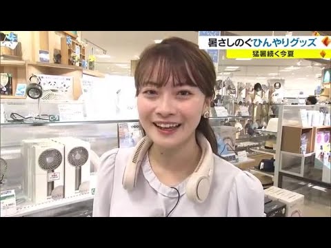 連日うだるような厳しい暑さに…この夏人気の「ひんやりグッズ」は？　節電につながるものも【岡山・香川】 (23/07/25 18:00)