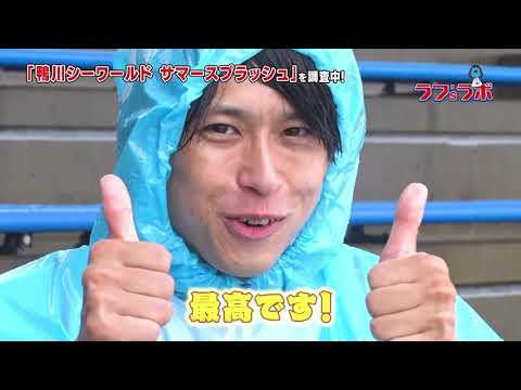 ラフ'sラボ「鴨川シーワールド」2023年7月15日放送