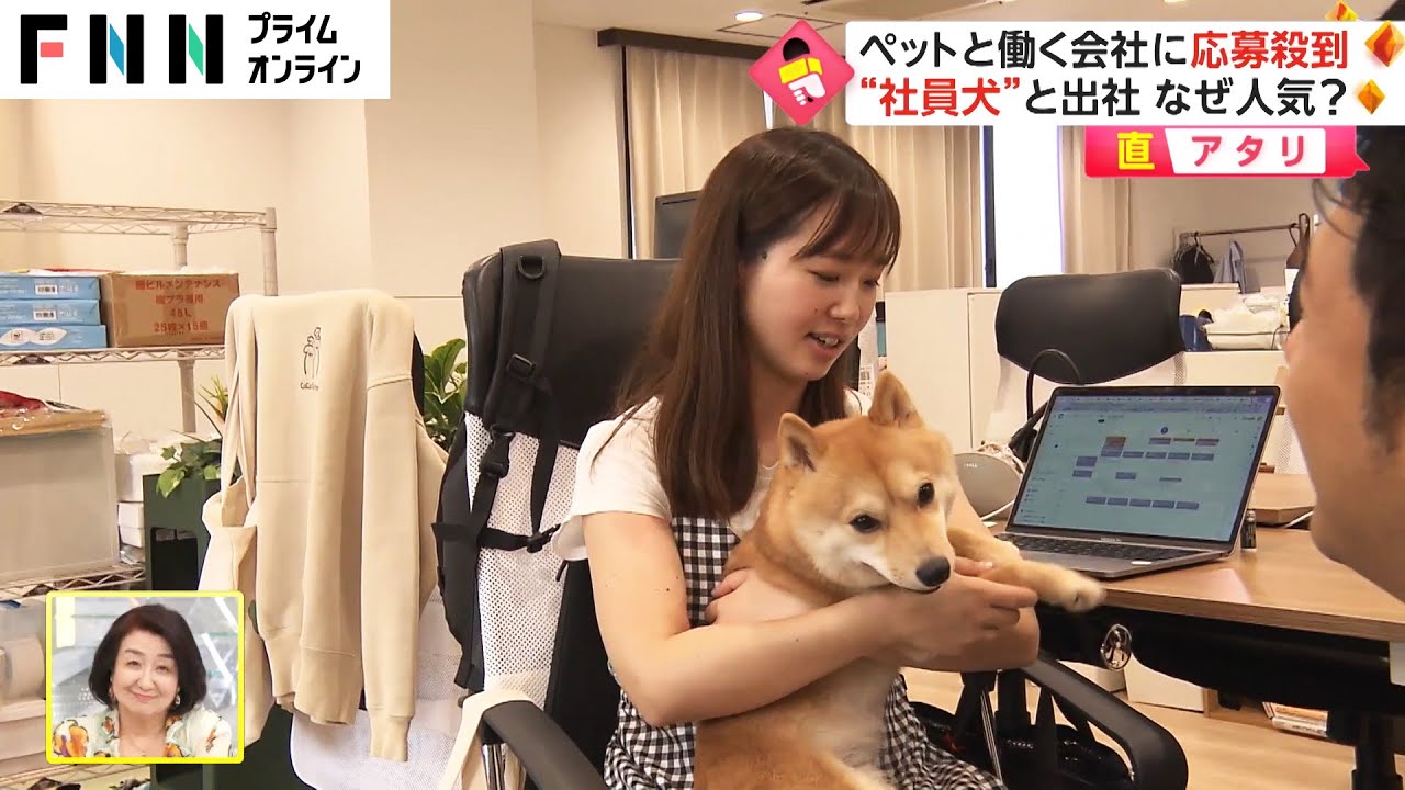 【直アタリ】ペットと働く会社に応募殺到　“社員犬”と出社 なぜ人気?