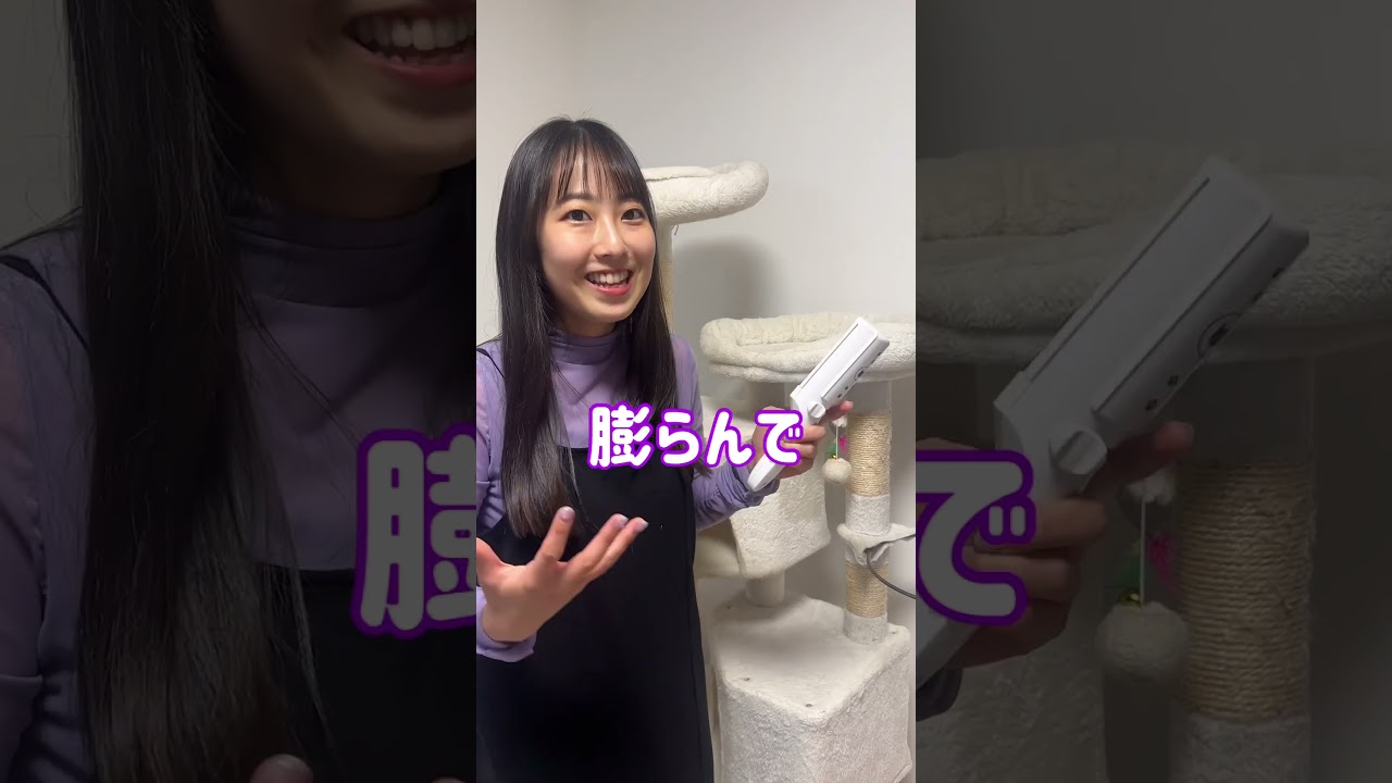 宇宙人すぎる元アイドル社員にインバウンド消費について聞いてみたらw #顧問クエスト #shorts
