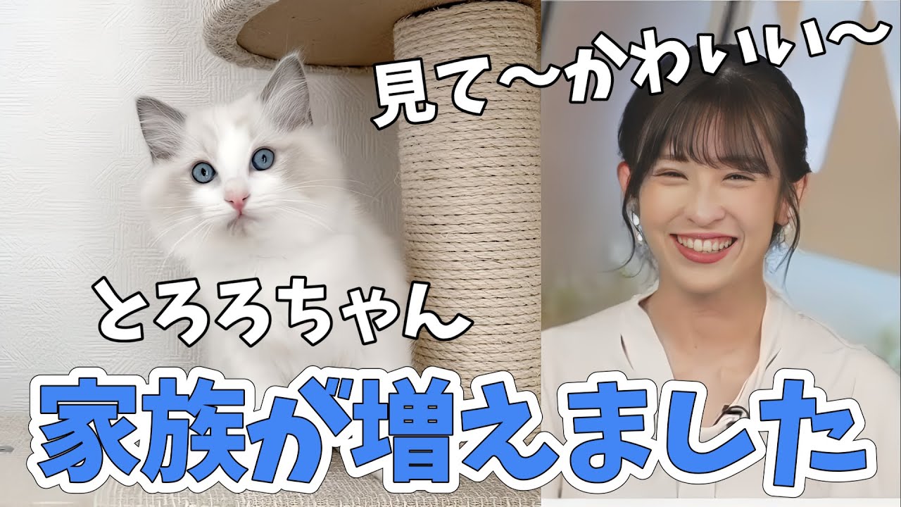 【山岸愛梨】ちくわ・おもちに続きとろろちゃんが仲間入り！メロメロなので家から出たくないです【ウェザーニュース切り抜き】