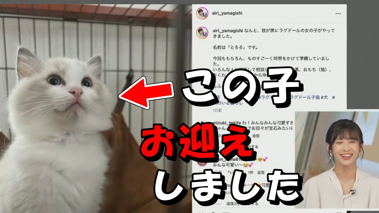 山岸愛梨【あいりん】ちっちゃい猫をお迎えしました 、名前は「とろろ」ちゃん！