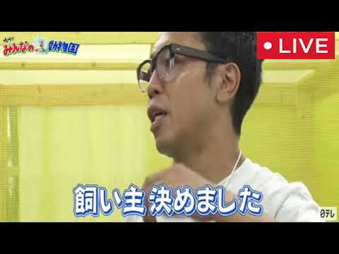 🔴ライブ配信 嗚呼みんなの動物園SP7月29日＜保護猫/のりしお/ゆめみ/フル＞2023年7月29日LIVE FULL HD