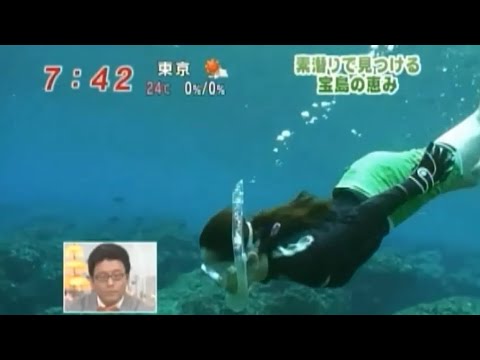 高島彩　素潜りで見つける宝島の恵み