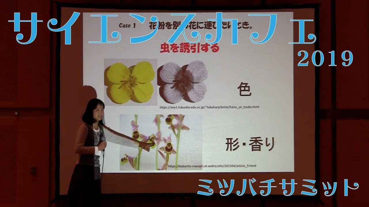 香りの魔術師、植物。植物は香りで虫を操る。