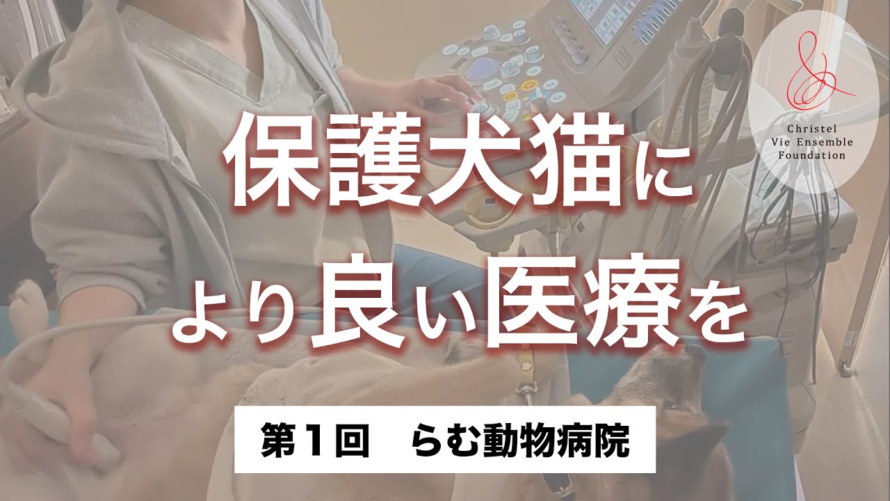 保護犬猫により良い医療を　らむ動物病院　〜保護犬猫支援基金 協力動物病院紹介〜