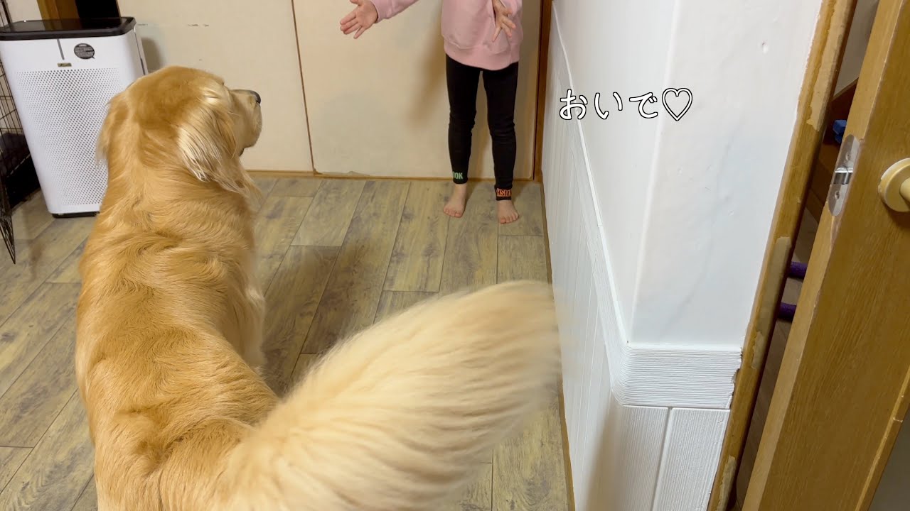 「おいで」と言って来てくれるだけで嬉しい、付き合いたてのカップルのような２人