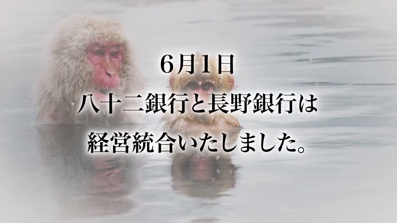 競争から共創へ