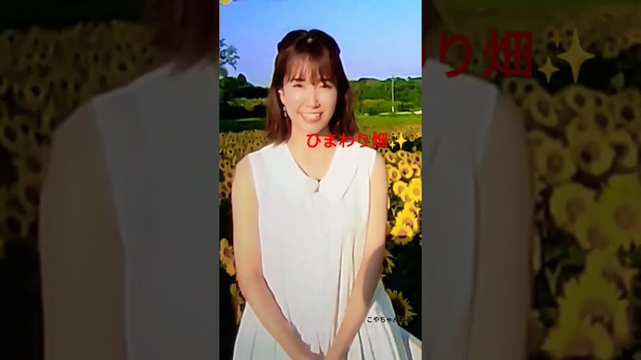 ライブ天気予報✨ひまわり畑🌻気象予報士,中西希😍TV.oha4より
