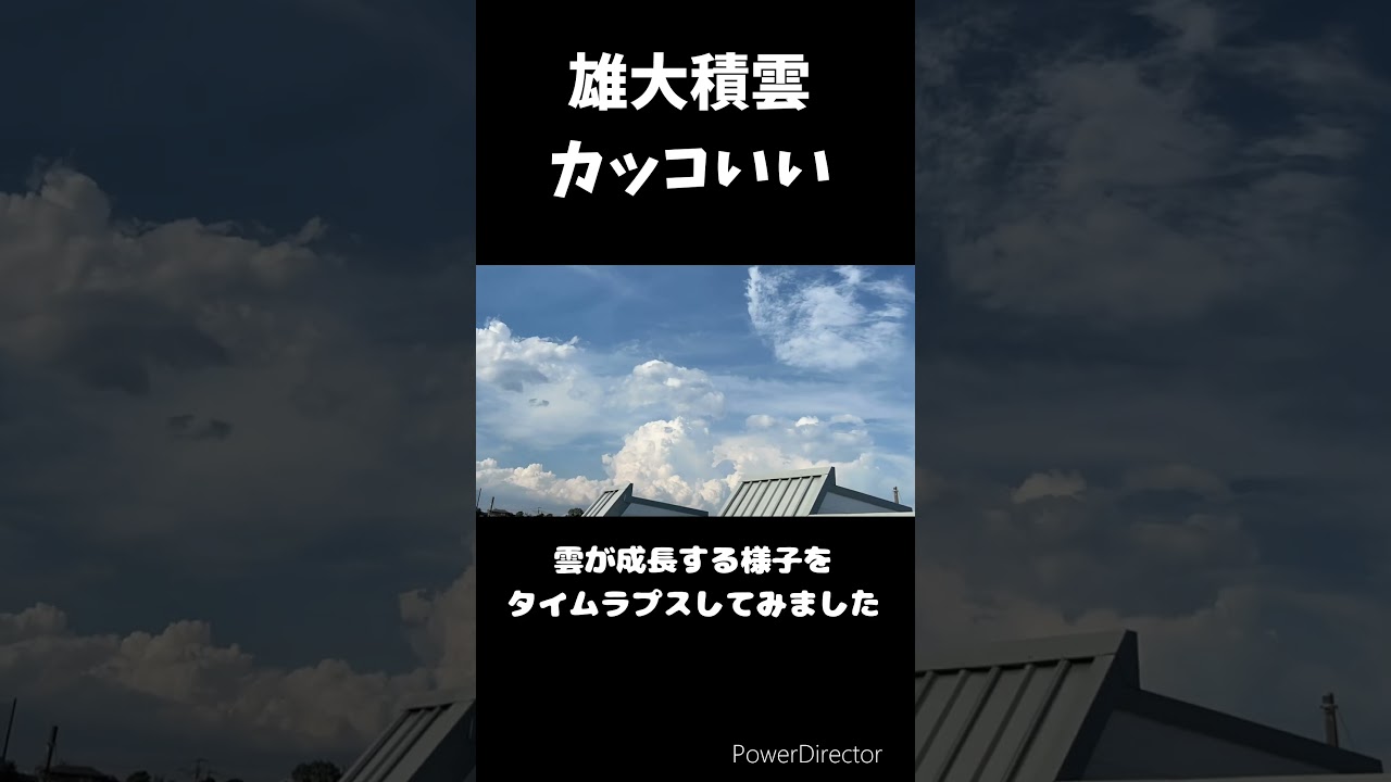 夏空、雄大積雲の姿 #気象予報士