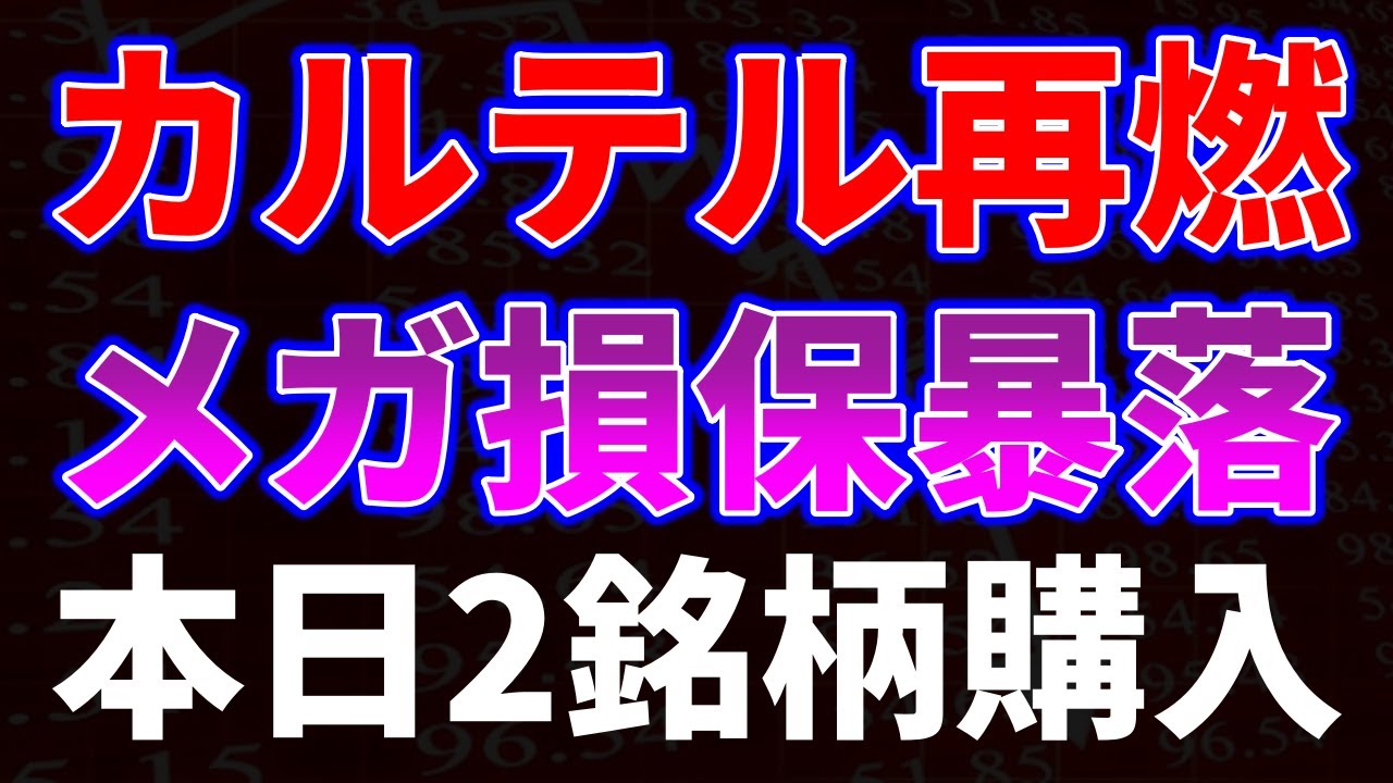 カルテル再燃でメガ損保暴落！本日２銘柄購入
