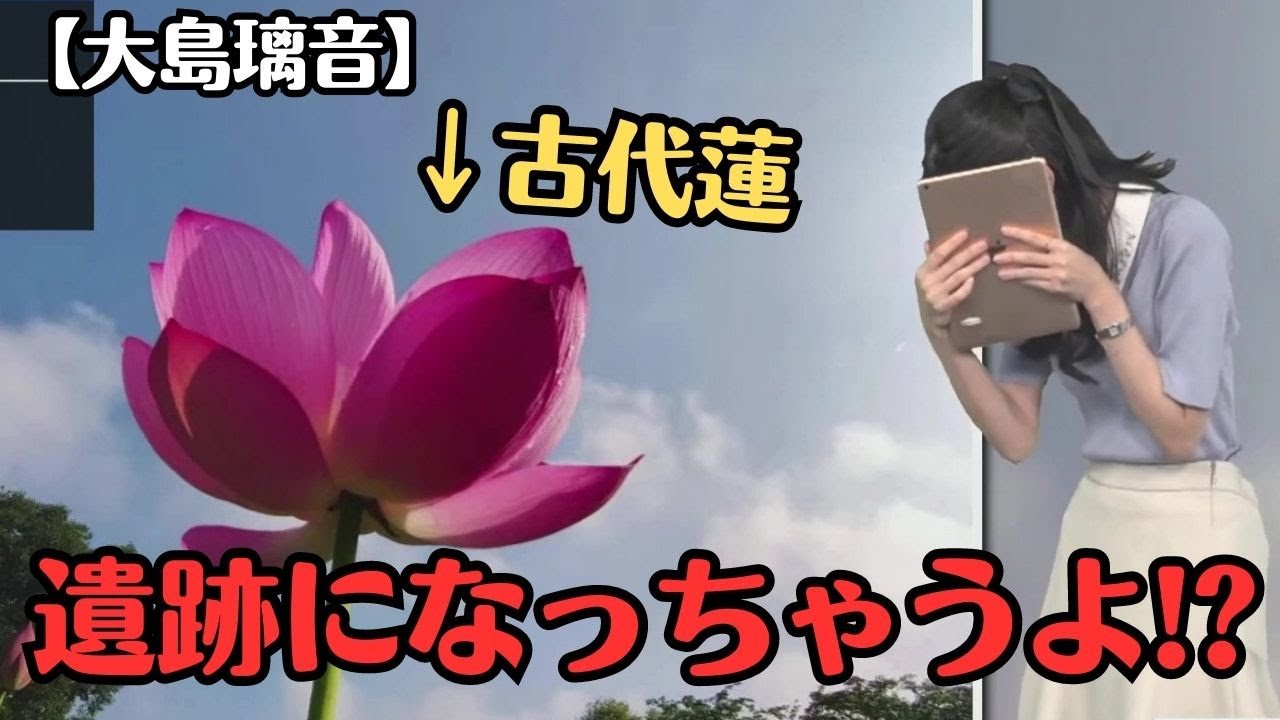 【大島璃音】区切るところを間違え、壮大な蓮にしてしまう お天気お姉さん【ウェザーニュースLiVE切り抜き】