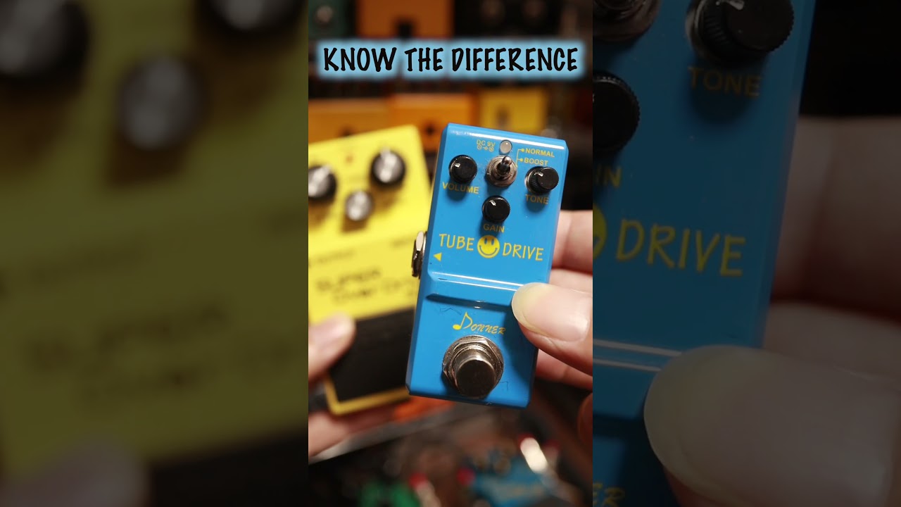 BOSS SD-1とdonnerの違い🎸#bosssd1 #bosseffects #bosspedals #donnerguitar #guitarpedals #shorts #seabird