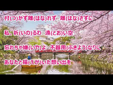 ねがい桜／大沢桃子　カラオケ