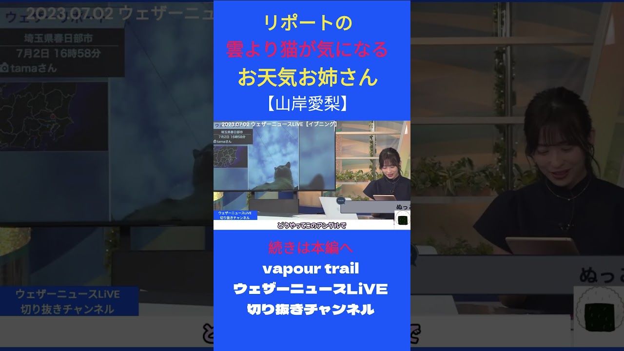 #shorts 【山岸愛梨】雲のリポート写真に写る猫をどうやって撮ったかが気になる お天気お姉さん【ウェザーニュースLiVE切り抜き】