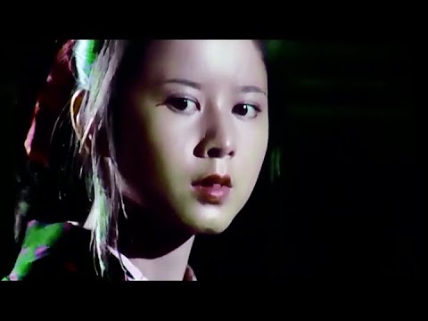 時代劇　斬り捨て御免❗　第22話　中村吉右衛門、岩井友見、栗田ひろみ、中村吉三