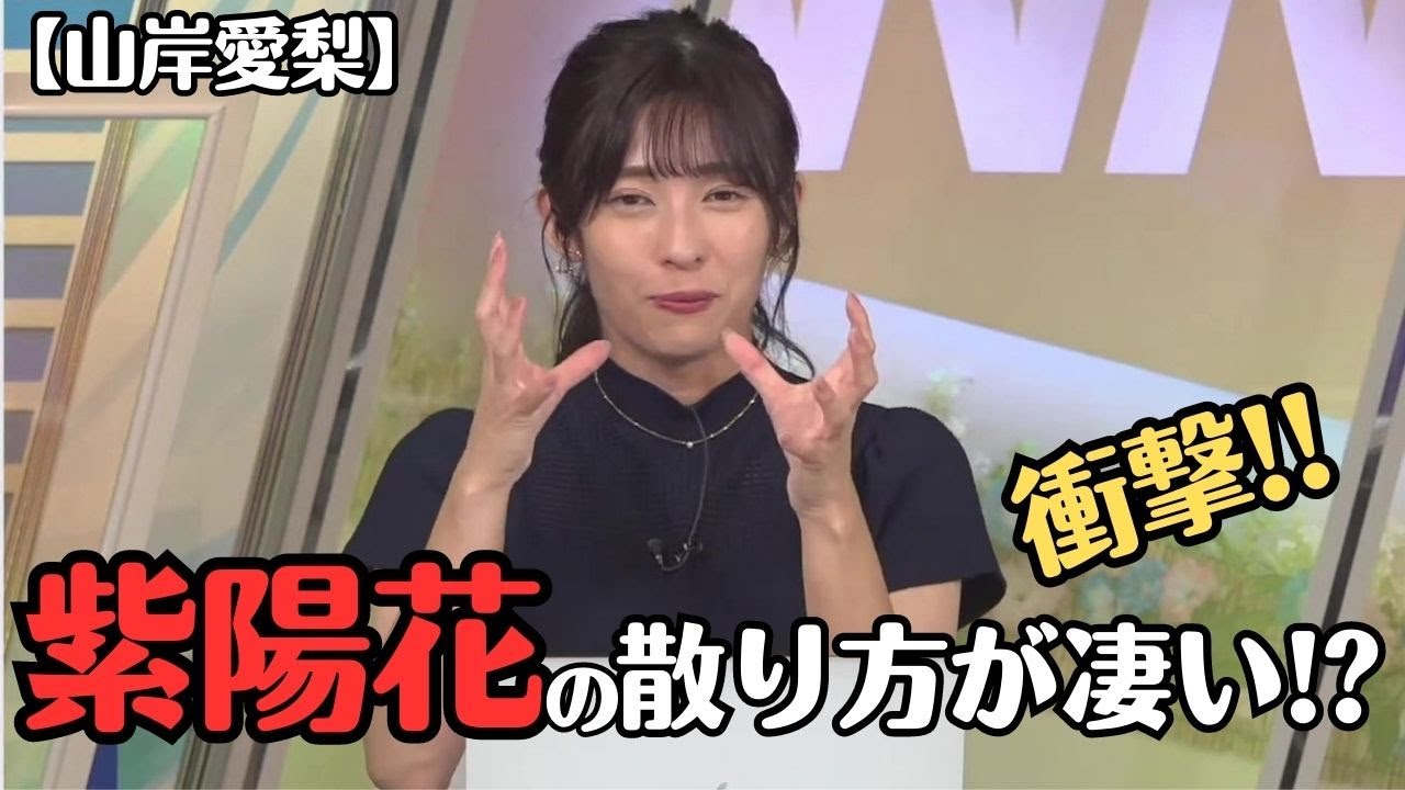 【山岸愛梨】紫陽花の衝撃的な散り方を教えてくれる お天気お姉さん【ウェザーニュースLiVE切り抜き】