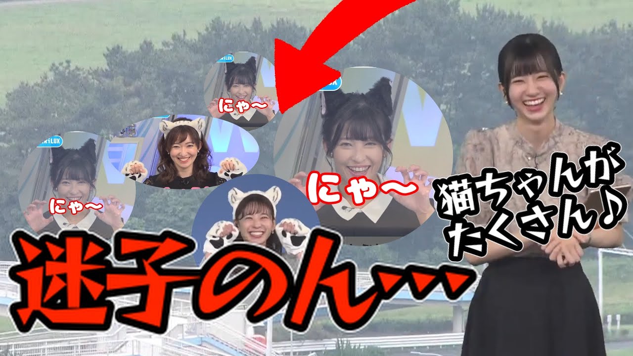 【大島璃音】天カメで迷子になるも、実はアレのすぐ真隣で猫がたくさんいることを聞いてニッコリするお天気お姉さんに癒される【ウェザーニュース切り抜き】