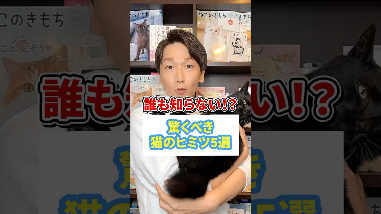 誰も知らない！？驚くべき猫のヒミツ５選