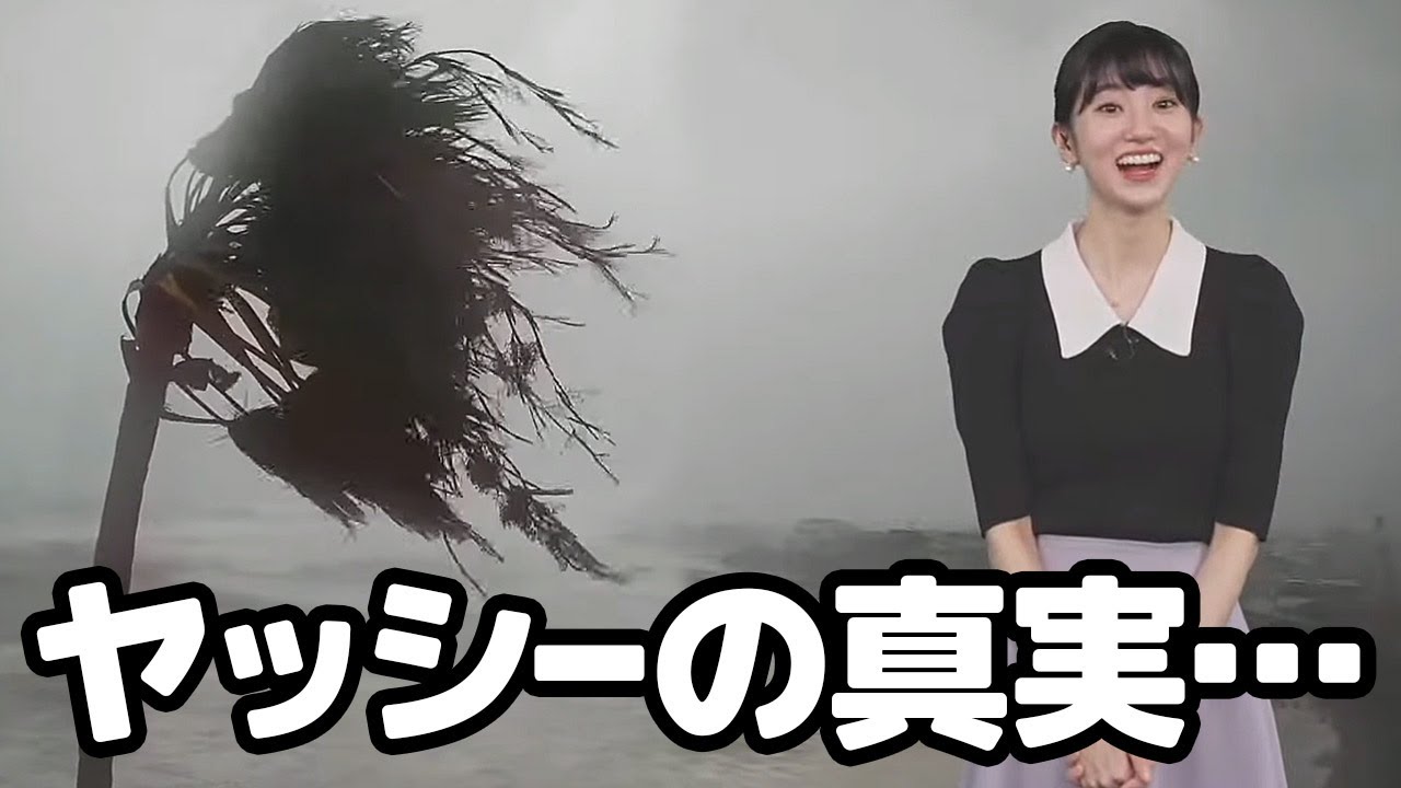 【大島璃音】台風6号に耐えるライブカメラのアイドルヤッシーの真実を知るお天気キャスター