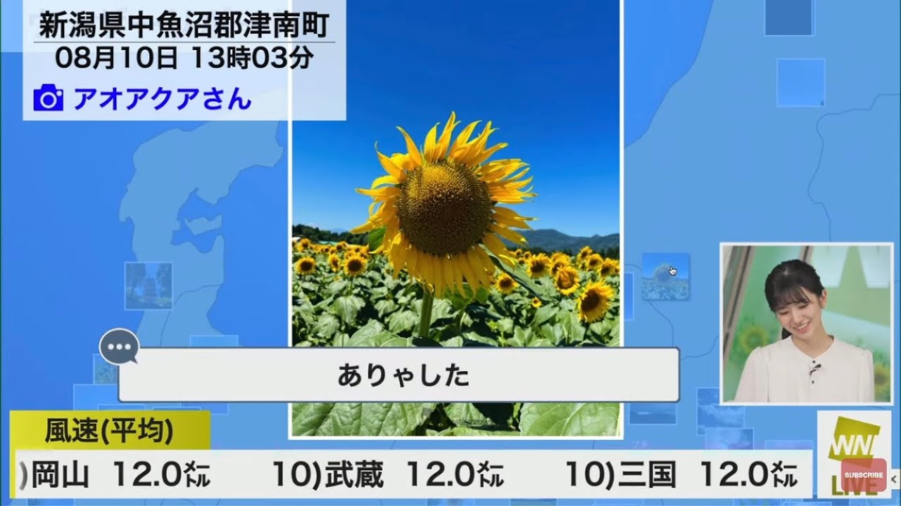 この夏もありゃした大島璃音【ウェザーニュース切り抜き】