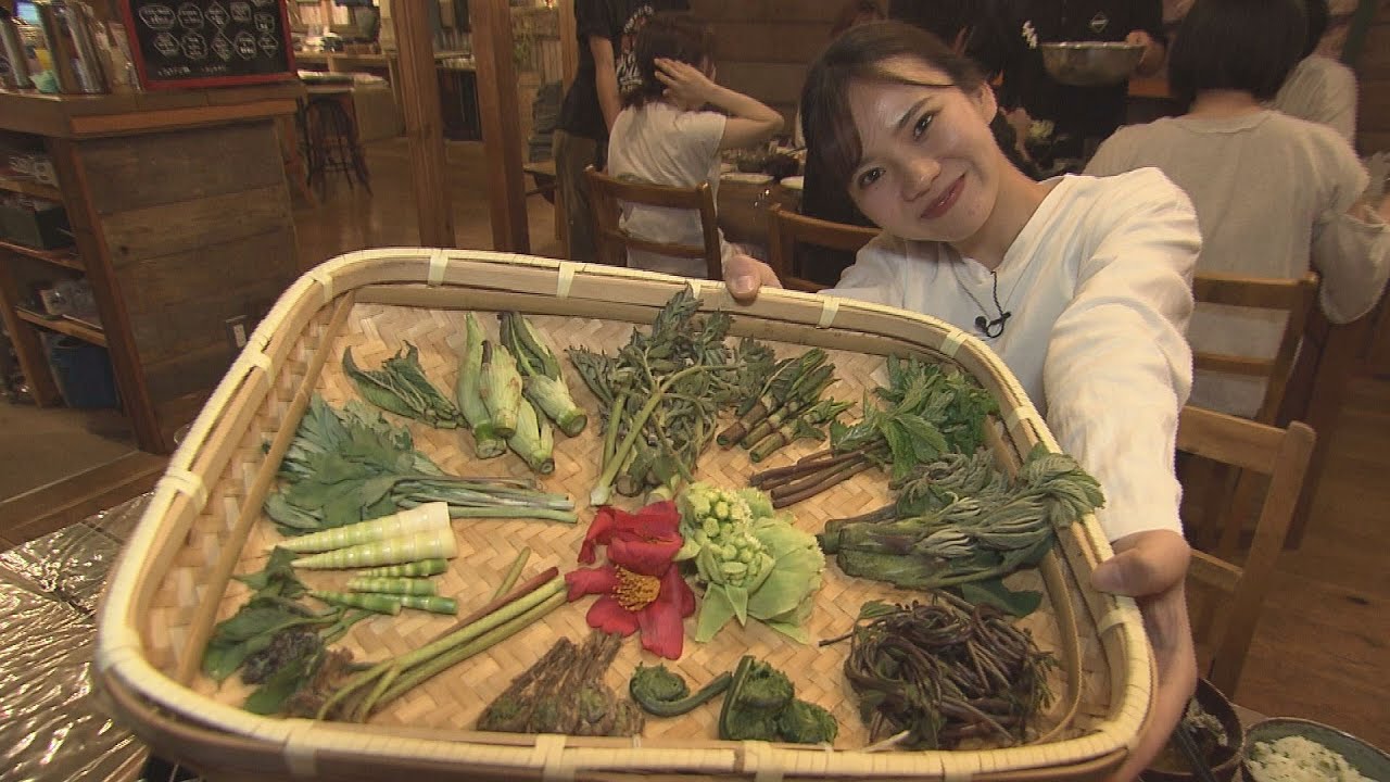 上室アナが行く！ゲストハウス「LAMP」の人気ツアー　サウナも、山菜採りも！（2023年5月2日abnステーション特集）