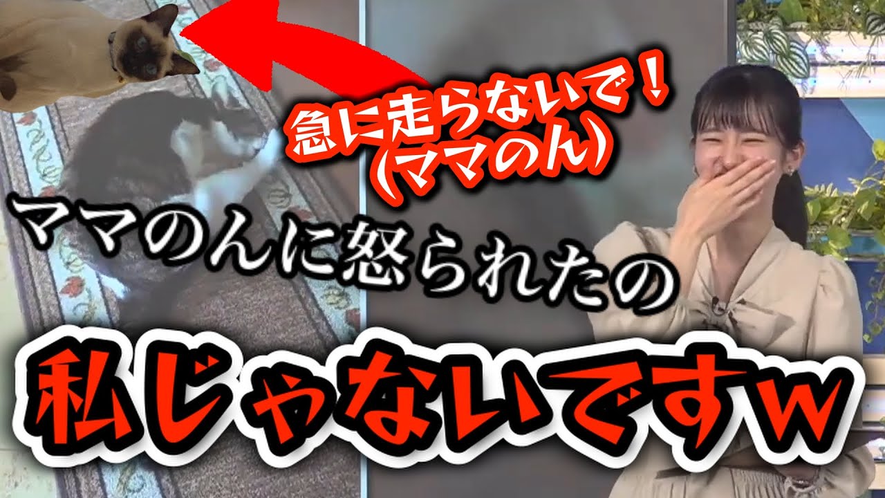 【大島璃音🦔シエル】ママのんに怒られたのは自分じゃないと言っておきながら結局は自分も怒られていたお天気お姉さんに癒される【ウェザーニュース切り抜き】