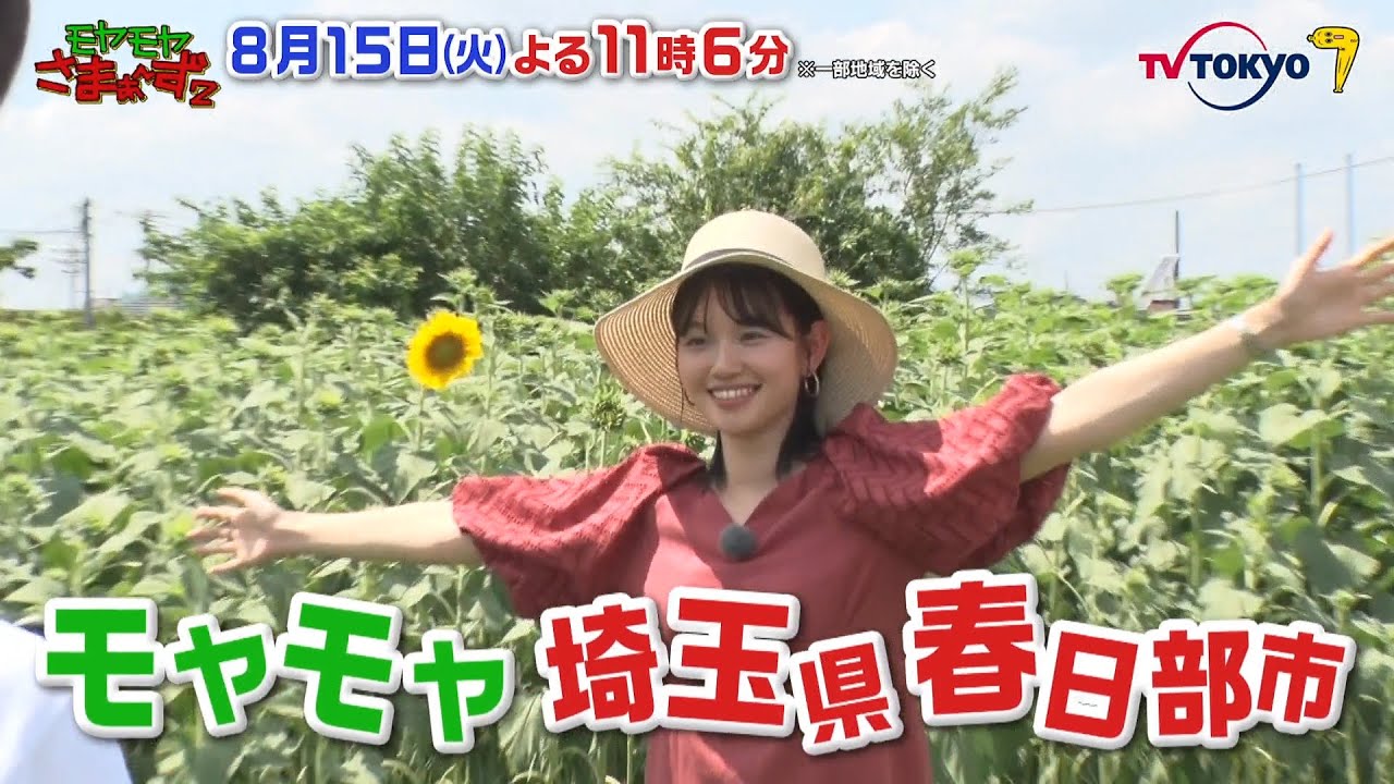 【予告】モヤモヤさまぁ～ず２