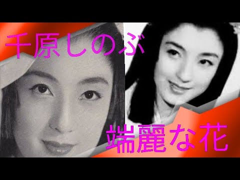千原しのぶ　端麗な花　大友柳太朗　マキノ雅弘　片岡知恵蔵　