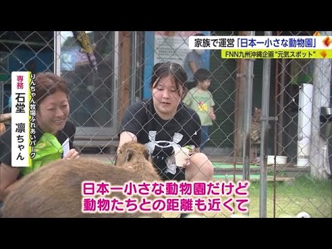 夏休みに行きたい！佐賀のスポット 超ロングスライダー・日本一小さな動物園【佐賀県】 (23/08/17 18:40)