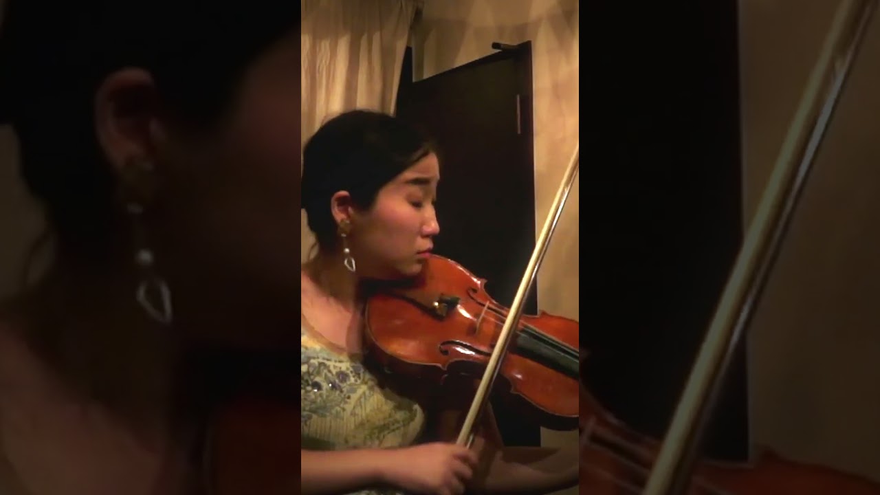 【抜粋】ソロ・ヴァイオリンによる50分間即興演奏 #shorts